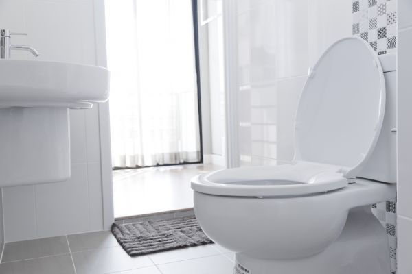 Cost of Toilet Relocation in Manassas